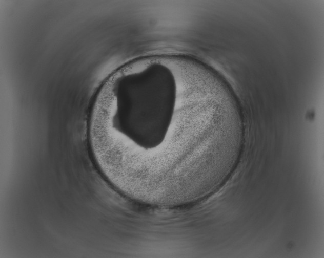 X0000092091459200710101051