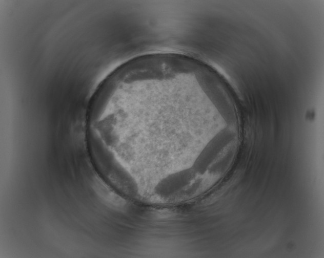 X0000092091460200710101051