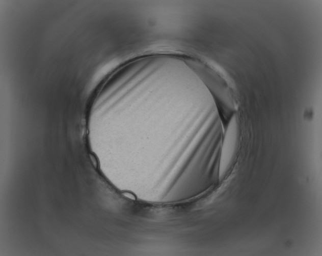 X0000092091461200710101051