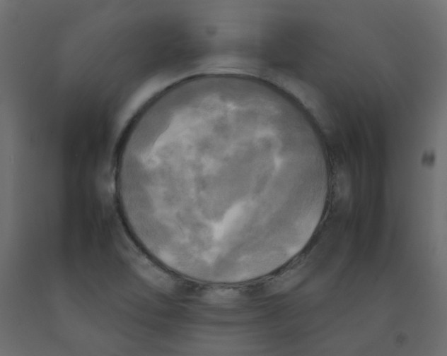 X0000092091462200710101051