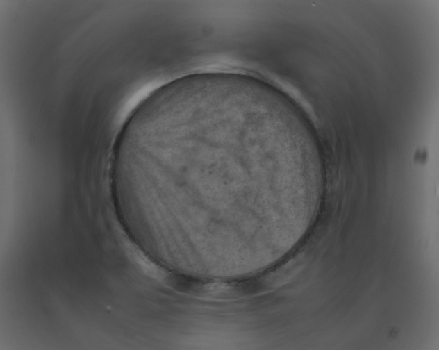 X0000092091463200710101051