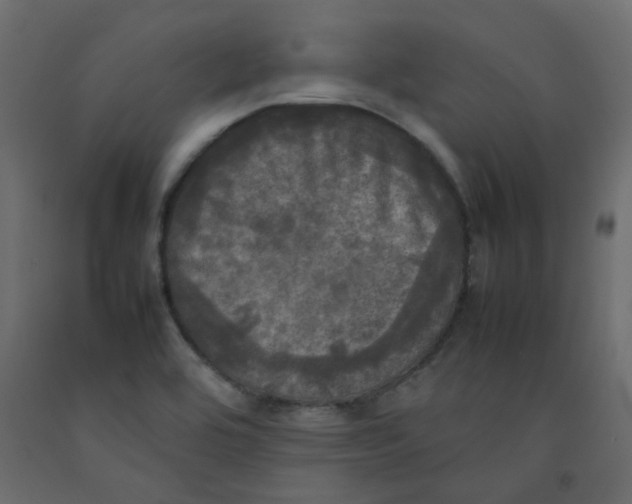 X0000092091464200710101051