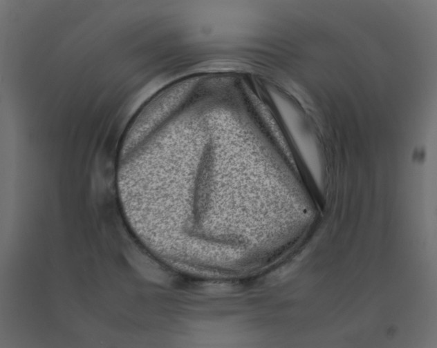 X0000092091465200710101051