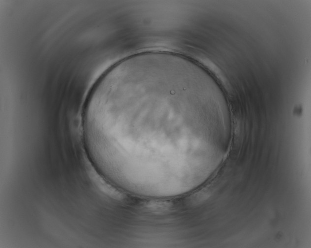 X0000092091466200710101051