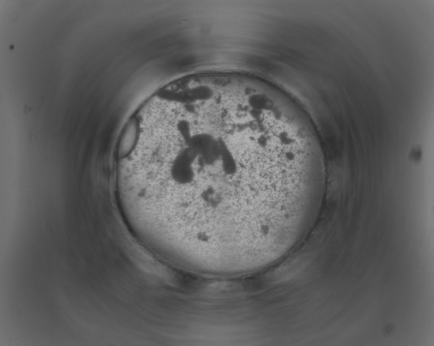 X0000092091467200710101051