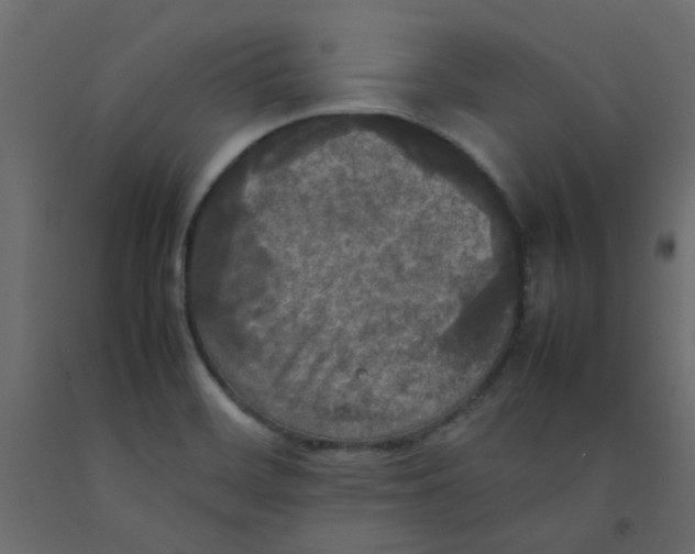 X0000092091468200710101051