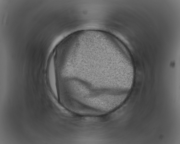 X0000092091469200710101051