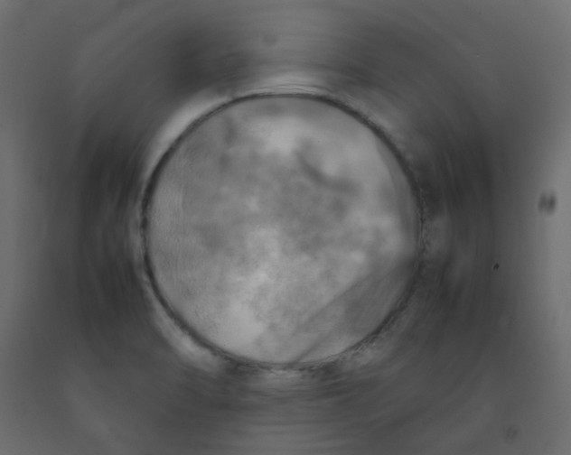 X0000092091470200710101051