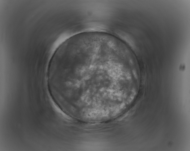 X0000092091471200710101051