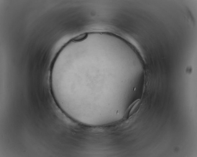 X0000092091472200710101051