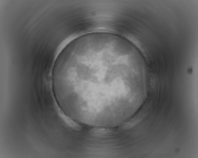 X0000092091474200710101051