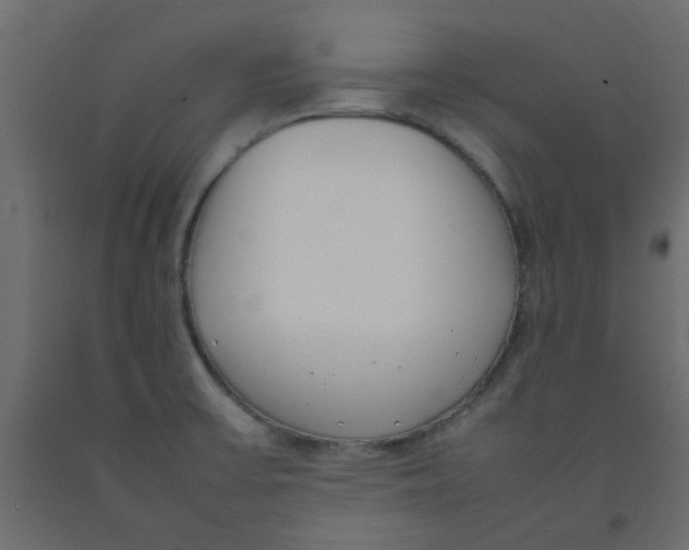 X0000092091475200710101051