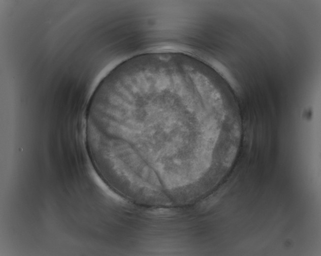 X0000092091476200710101051