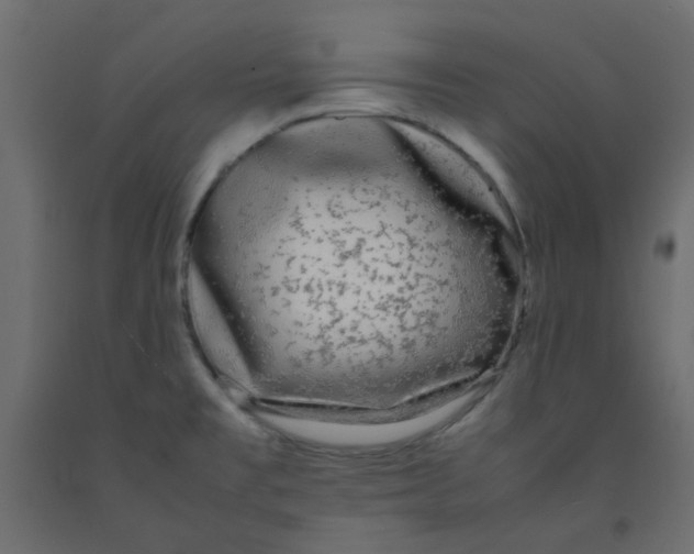 X0000092091477200710101051