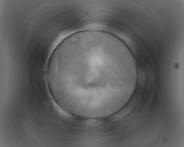 X0000092091478200710101051