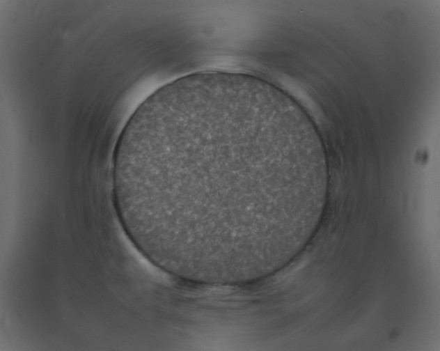 X0000092091479200710101051