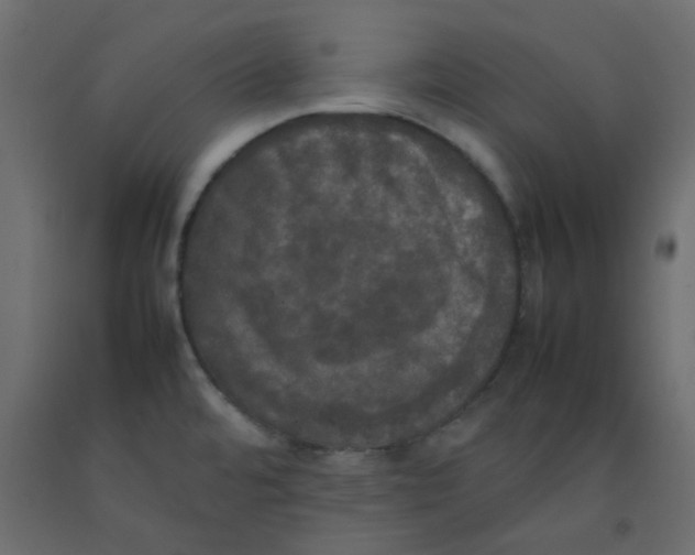 X0000092091480200710101051