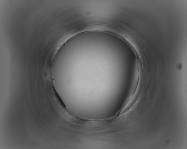 X0000092091481200710101051