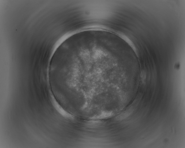 X0000092091482200710101051