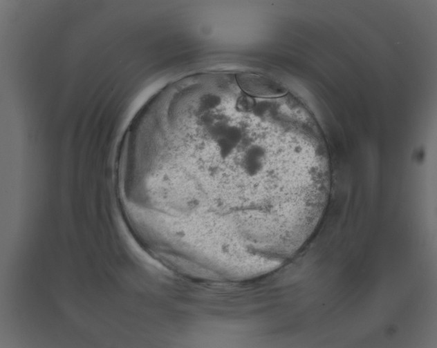 X0000092091483200710101051