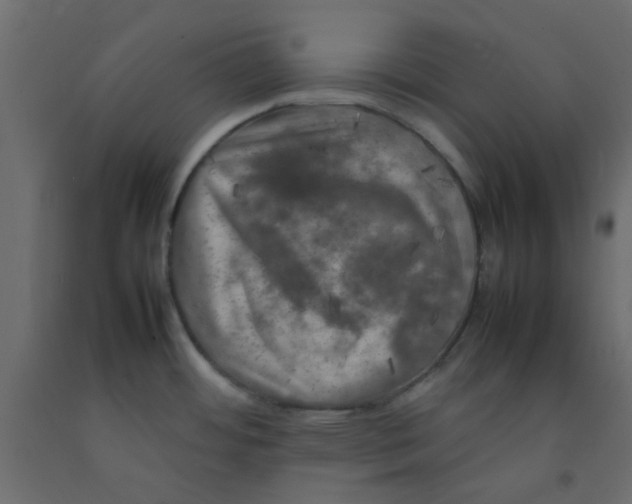 X0000092091484200710101051