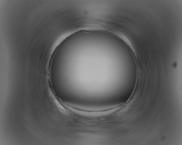 X0000092091485200710101051