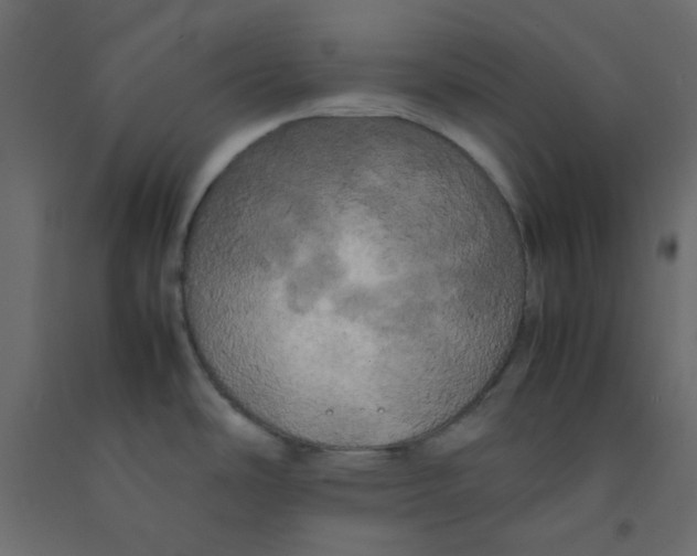 X0000092091486200710101051