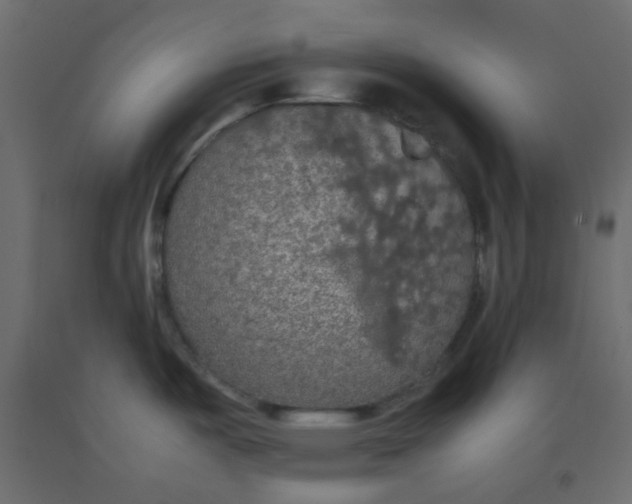 X0000092091487200710101050