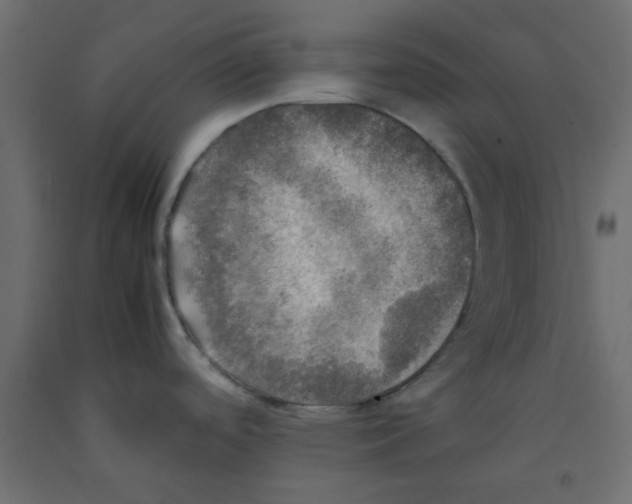 X0000092091488200710101050