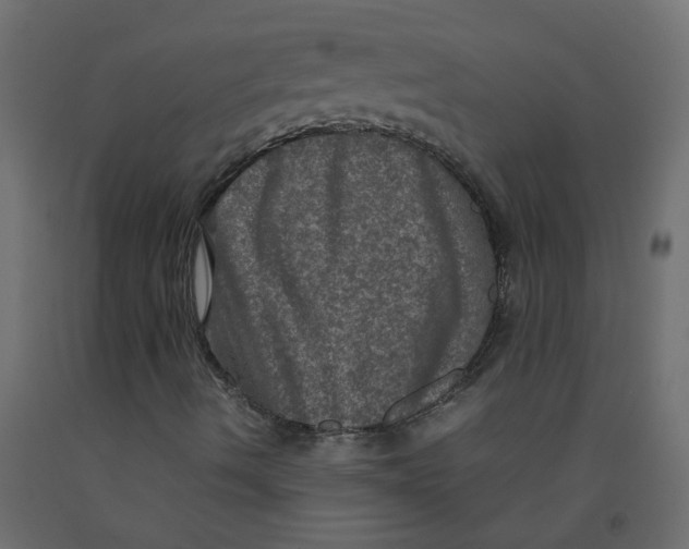 X0000092091490200710101050