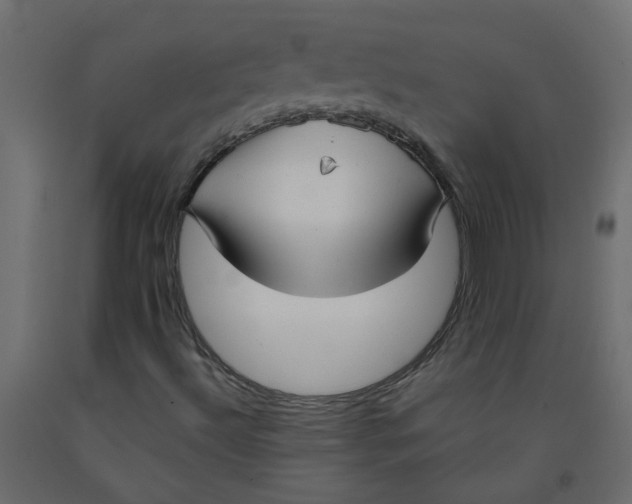 X0000092091492200710101050