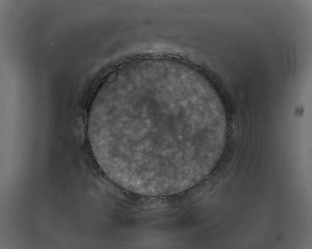 X0000092091493200710101050