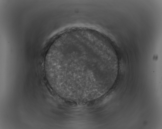 X0000092091494200710101050