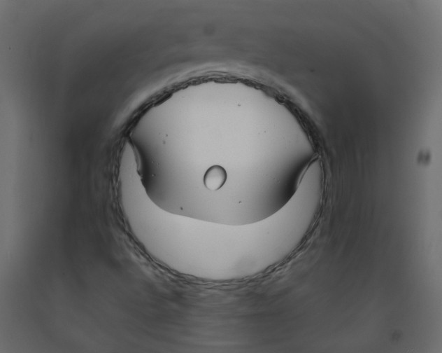 X0000092091496200710101050