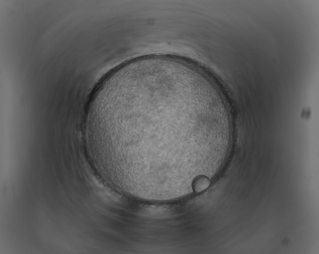 X0000092091497200710101050