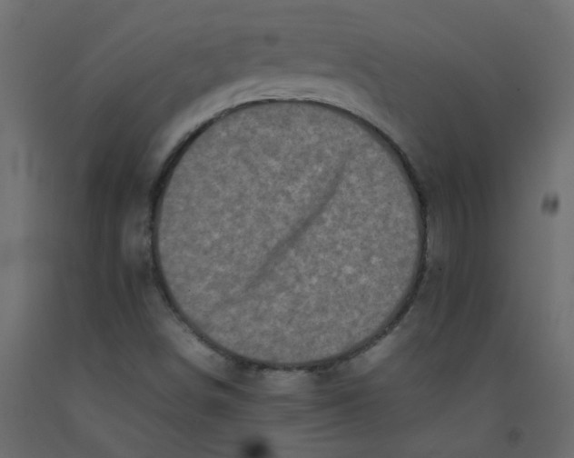 X0000092091498200710101050