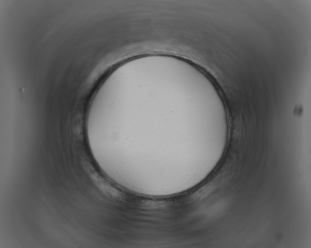 X0000092091499200710101050