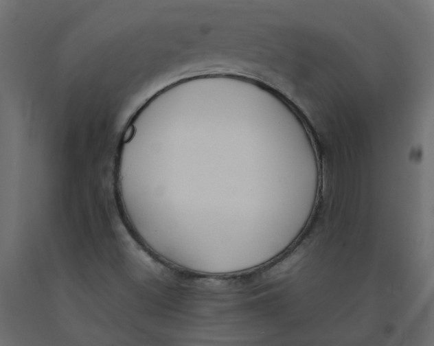 X0000092091500200710101050