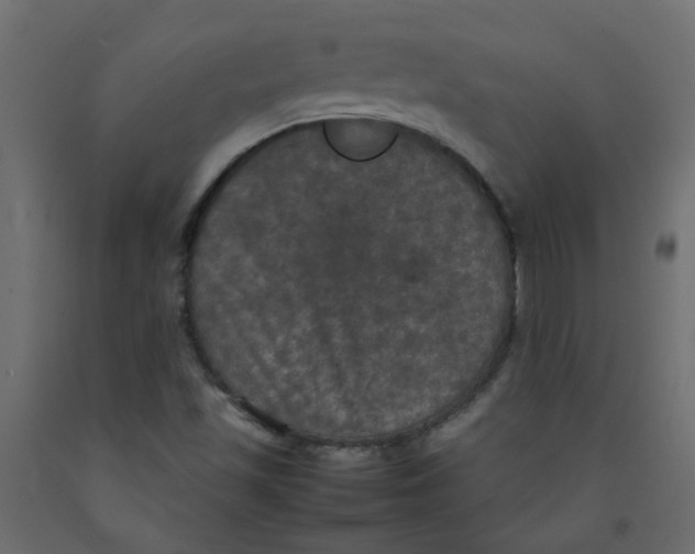 X0000092091501200710101050