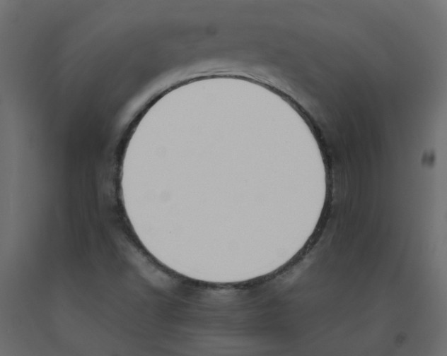 X0000092091502200710101050