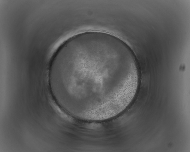 X0000092091503200710101050