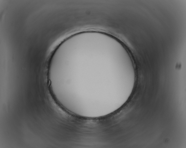 X0000092091504200710101050