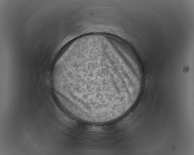 X0000092091505200710101050