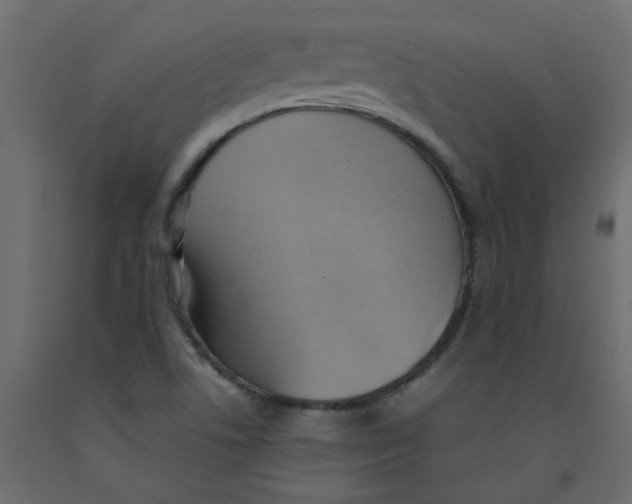 X0000092091506200710101050