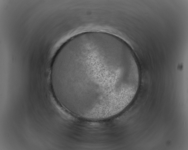 X0000092091507200710101050