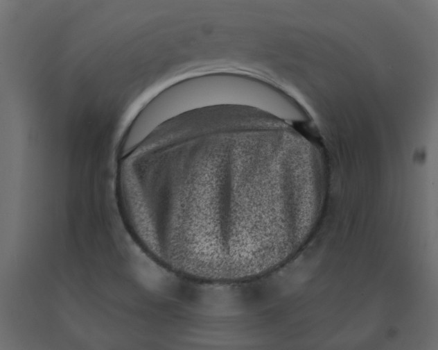 X0000092091508200710101050