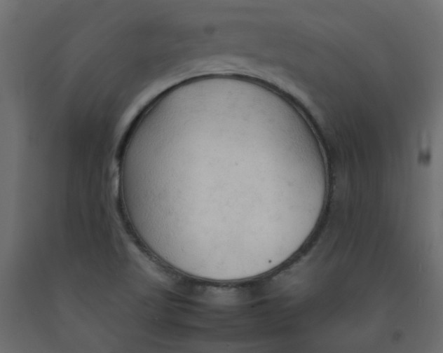 X0000092091509200710101050