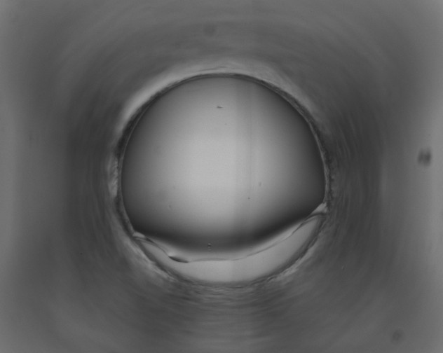 X0000092091510200710101050