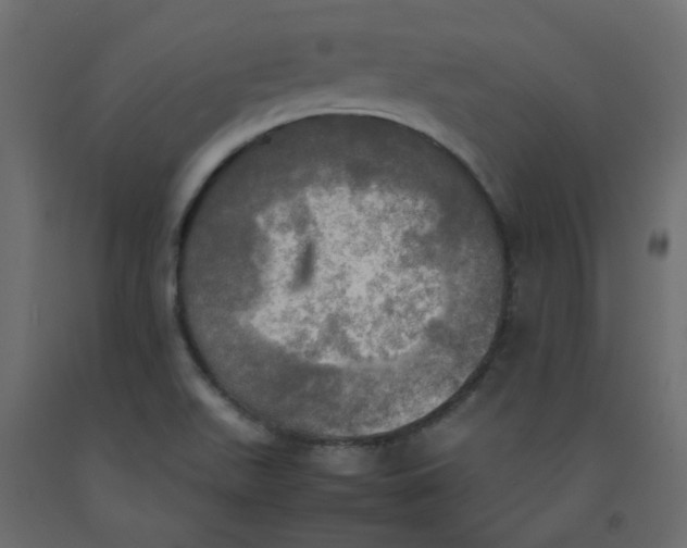 X0000092091511200710101050