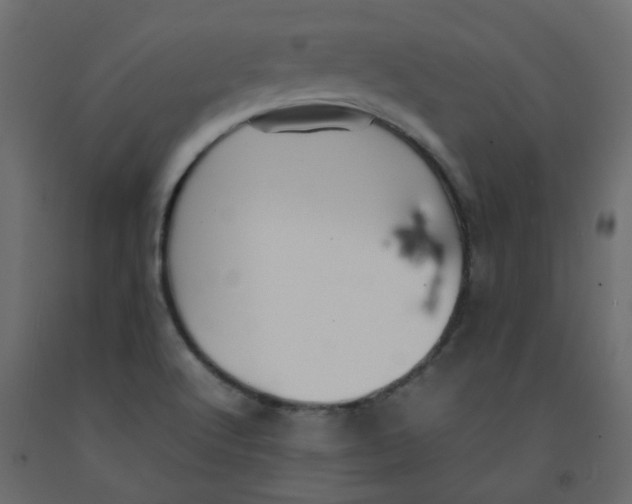 X0000092091512200710101050